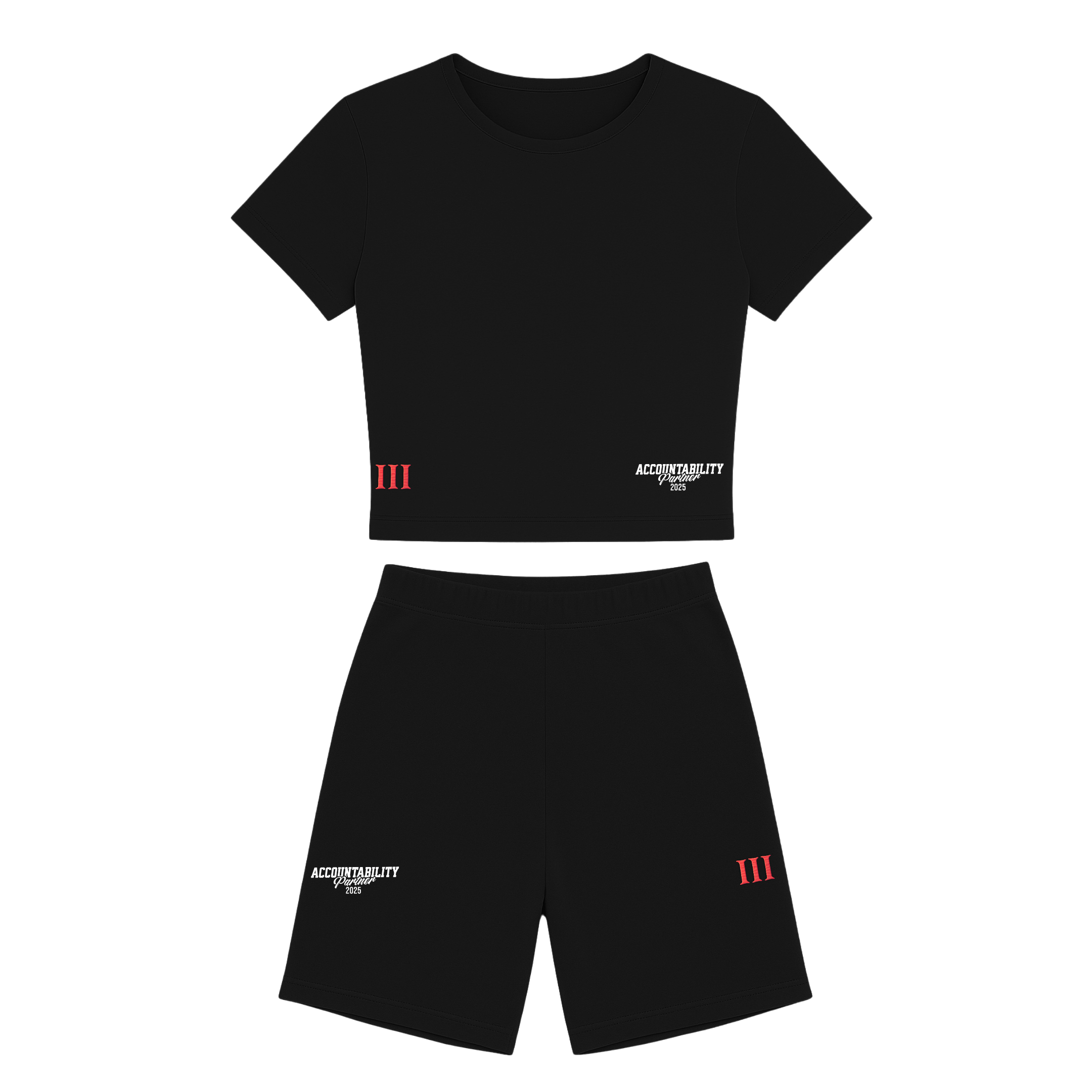 Accountability Partners - Ctn Spndx Set