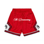 The Documentary Mesh Basketball Shorts